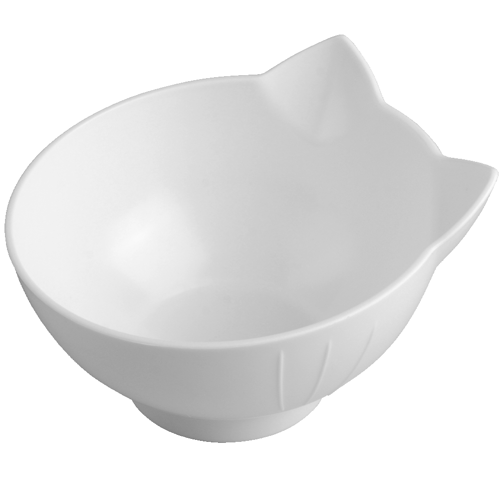 Pet Double Cat Bowl With Raised Stand